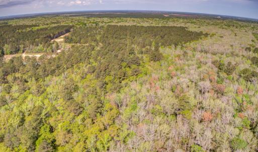 Photo #10 of SOLD property in Off Johnsontown Road  , Elizabethtown, NC 16.6 acres