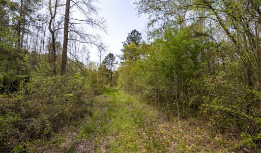 Photo #14 of SOLD property in Off Johnsontown Road  , Elizabethtown, NC 16.6 acres