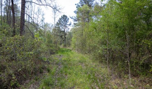 Photo #15 of SOLD property in Off Johnsontown Road  , Elizabethtown, NC 16.6 acres