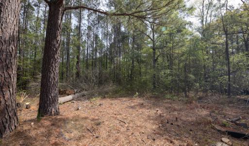 Photo #18 of SOLD property in Off Johnsontown Road  , Elizabethtown, NC 16.6 acres