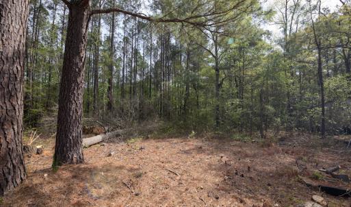 Photo #18 of SOLD property in Off Johnsontown Road  , Elizabethtown, NC 16.6 acres