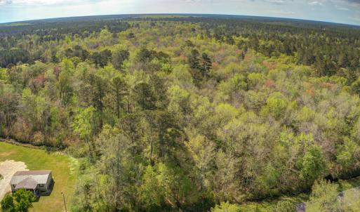 Photo #7 of SOLD property in Off Johnsontown Road  , Elizabethtown, NC 16.6 acres