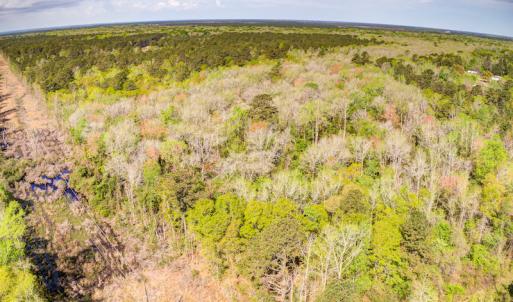 Photo #9 of SOLD property in Off Johnsontown Road  , Elizabethtown, NC 16.6 acres