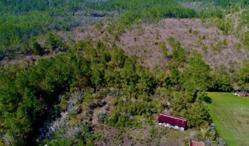 Photo #5 of SOLD property in 1022 Horne Rd, Lowland, NC 10.0 acres