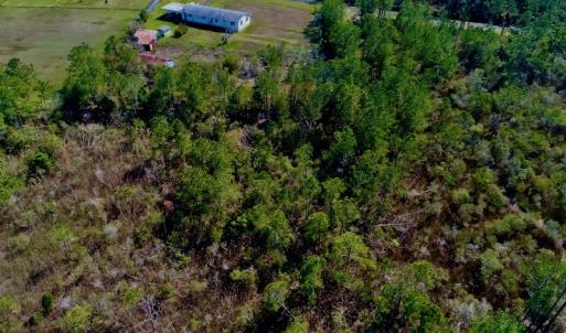 Photo #8 of SOLD property in 1022 Horne Rd, Lowland, NC 10.0 acres
