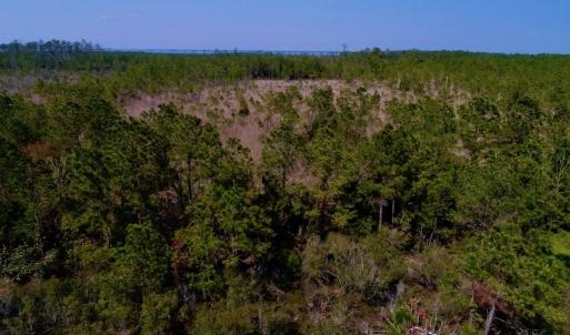 Photo #20 of SOLD property in 1022 Horne Rd, Lowland, NC 10.0 acres