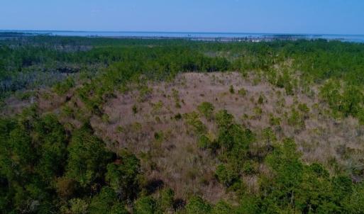 Photo #21 of SOLD property in 1022 Horne Rd, Lowland, NC 10.0 acres