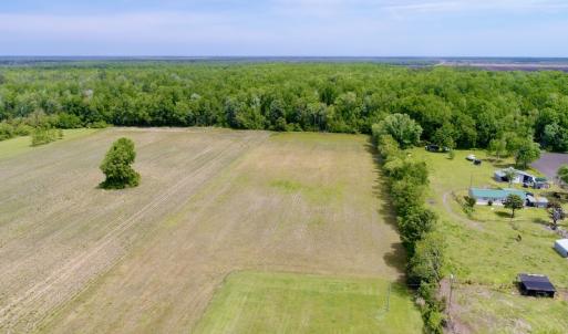 Photo #6 of SOLD property in Off N. Lake Rd, Engelhard , NC 16.8 acres