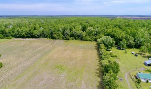 Photo #7 of SOLD property in Off N. Lake Rd, Engelhard , NC 16.8 acres