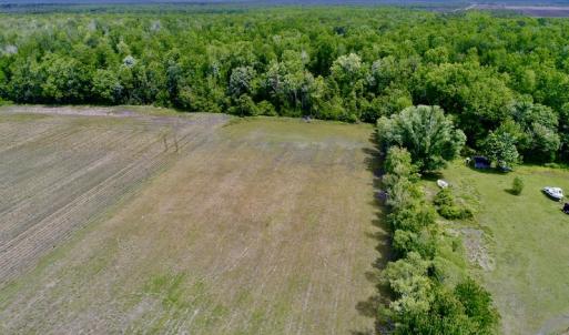 Photo #8 of SOLD property in Off N. Lake Rd, Engelhard , NC 16.8 acres