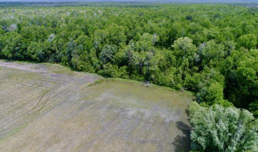 Photo #9 of SOLD property in Off N. Lake Rd, Engelhard , NC 16.8 acres