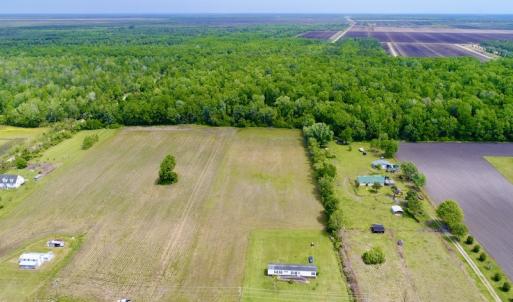 Photo #12 of SOLD property in Off N. Lake Rd, Engelhard , NC 16.8 acres