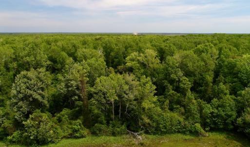 Photo #21 of SOLD property in Off N. Lake Rd, Engelhard , NC 16.8 acres