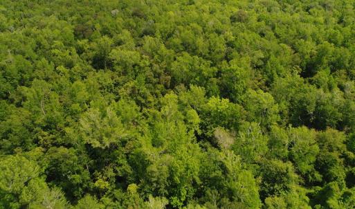 Photo #22 of SOLD property in Off N. Lake Rd, Engelhard , NC 16.8 acres