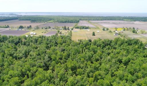 Photo #23 of SOLD property in Off N. Lake Rd, Engelhard , NC 16.8 acres