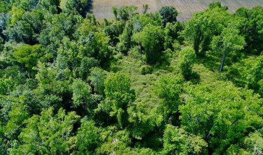Photo #26 of SOLD property in Off N. Lake Rd, Engelhard , NC 16.8 acres