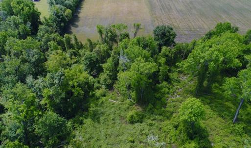 Photo #27 of SOLD property in Off N. Lake Rd, Engelhard , NC 16.8 acres