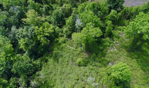 Photo #28 of SOLD property in Off N. Lake Rd, Engelhard , NC 16.8 acres
