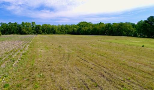 Photo #32 of SOLD property in Off N. Lake Rd, Engelhard , NC 16.8 acres