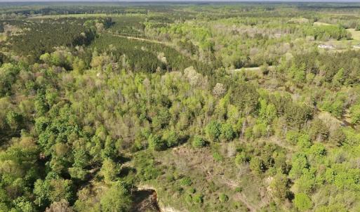 Photo #10 of SOLD property in Off Duke Road  , Nashville, NC 8.6 acres