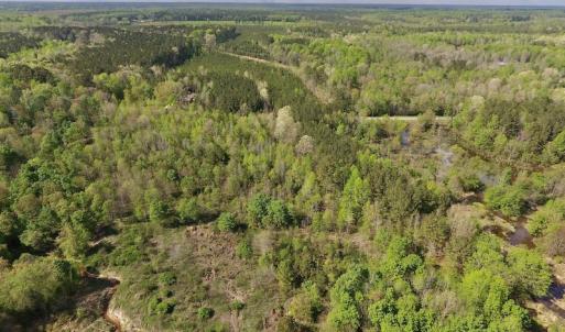 Photo #11 of SOLD property in Off Duke Road  , Nashville, NC 8.6 acres