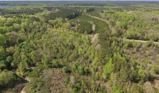 Photo #12 of SOLD property in Off Duke Road  , Nashville, NC 8.6 acres