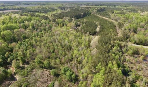 Photo #13 of SOLD property in Off Duke Road  , Nashville, NC 8.6 acres