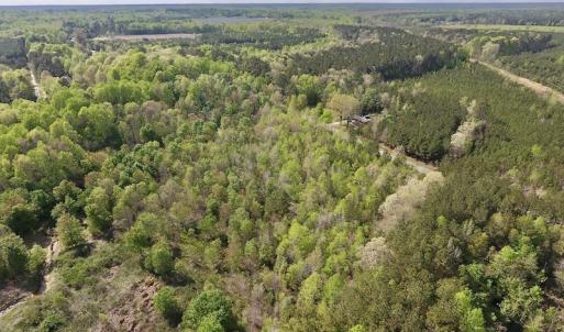 Photo #14 of SOLD property in Off Duke Road  , Nashville, NC 8.6 acres