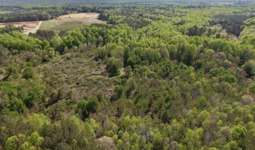 Photo #16 of SOLD property in Off Duke Road  , Nashville, NC 8.6 acres