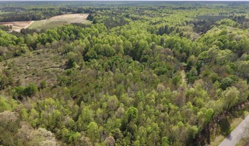 Photo #18 of SOLD property in Off Duke Road  , Nashville, NC 8.6 acres