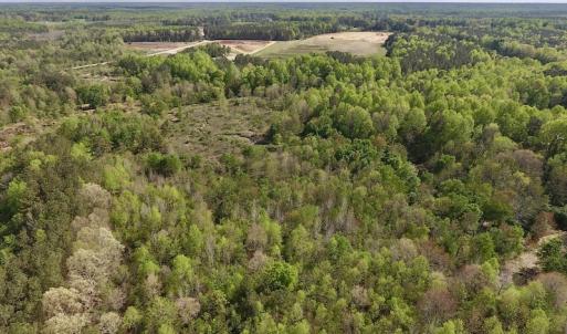 Photo #19 of SOLD property in Off Duke Road  , Nashville, NC 8.6 acres