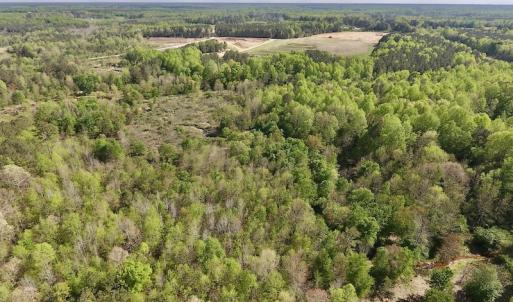 Photo #20 of SOLD property in Off Duke Road  , Nashville, NC 8.6 acres