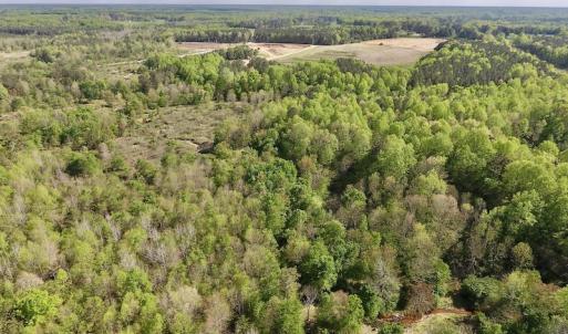 Photo #21 of SOLD property in Off Duke Road  , Nashville, NC 8.6 acres