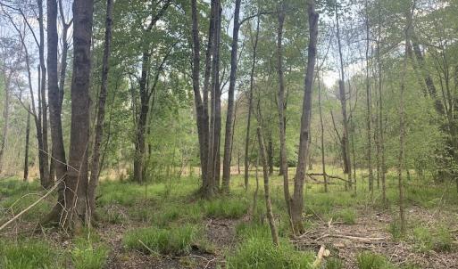 Photo #23 of SOLD property in Off Duke Road  , Nashville, NC 8.6 acres