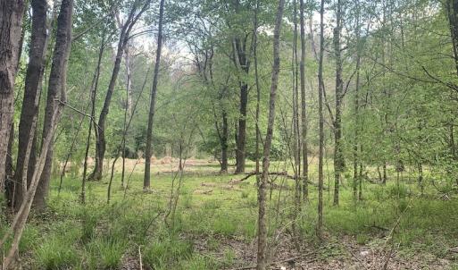 Photo #24 of SOLD property in Off Duke Road  , Nashville, NC 8.6 acres