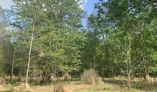 Photo #25 of SOLD property in Off Duke Road  , Nashville, NC 8.6 acres