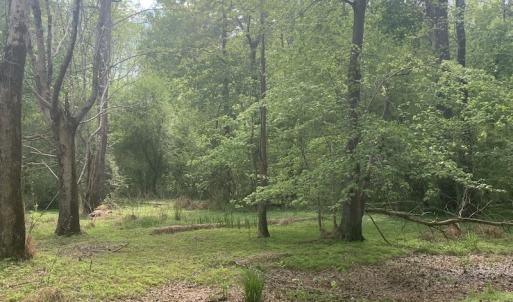 Photo #26 of SOLD property in Off Duke Road  , Nashville, NC 8.6 acres