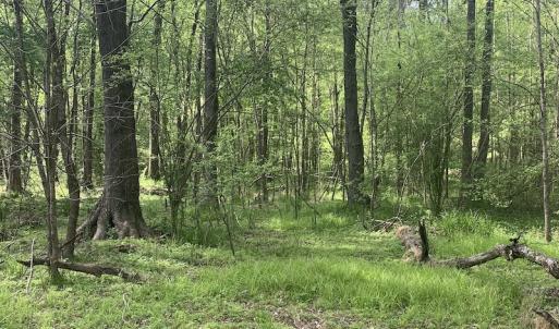 Photo #27 of SOLD property in Off Duke Road  , Nashville, NC 8.6 acres