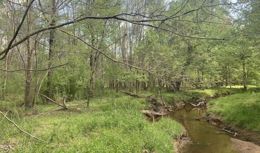 Photo #31 of SOLD property in Off Duke Road  , Nashville, NC 8.6 acres