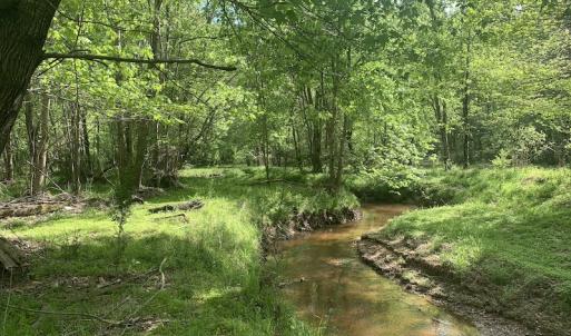 Photo #32 of SOLD property in Off Duke Road  , Nashville, NC 8.6 acres
