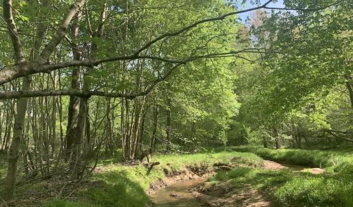 Photo #33 of SOLD property in Off Duke Road  , Nashville, NC 8.6 acres