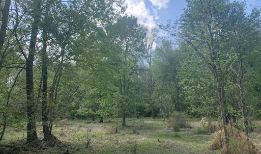 Photo #36 of SOLD property in Off Duke Road  , Nashville, NC 8.6 acres