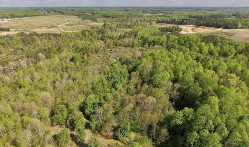 Photo #4 of SOLD property in Off Duke Road  , Nashville, NC 8.6 acres