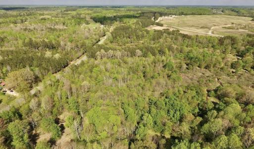 Photo #6 of SOLD property in Off Duke Road  , Nashville, NC 8.6 acres