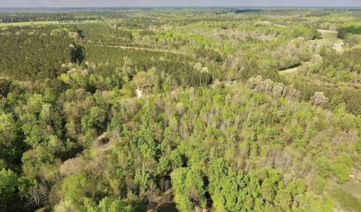 Photo #8 of SOLD property in Off Duke Road  , Nashville, NC 8.6 acres