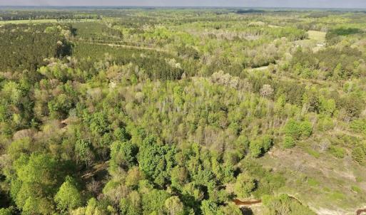 Photo #9 of SOLD property in Off Duke Road  , Nashville, NC 8.6 acres