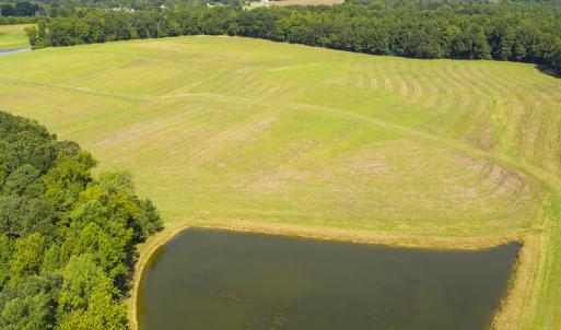 Photo #3 of SOLD property in Off John Lewis Road, Burlington, NC 10.0 acres