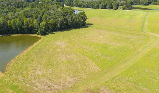 Photo #5 of SOLD property in Off John Lewis Road, Burlington, NC 10.0 acres