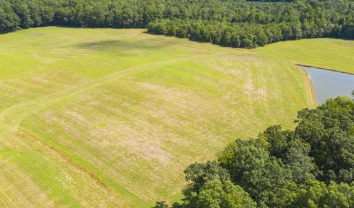 Photo #9 of SOLD property in Off John Lewis Road, Burlington, NC 10.0 acres