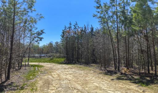 Photo #24 of SOLD property in Lot-4, 00 Allensville Road, Roxboro, NC 10.6 acres